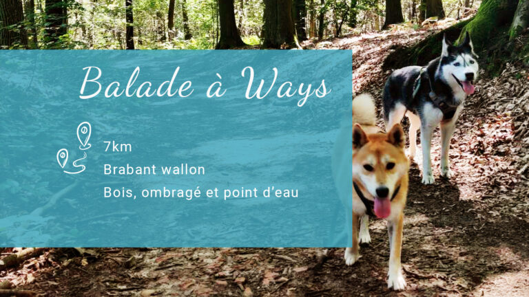 Balade de 7 km à ways