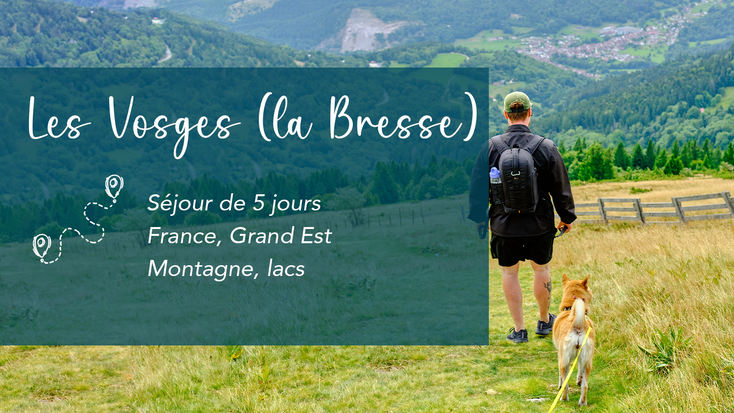 5 jours dans les Vosges avec un chien – Pour moins de 300 €