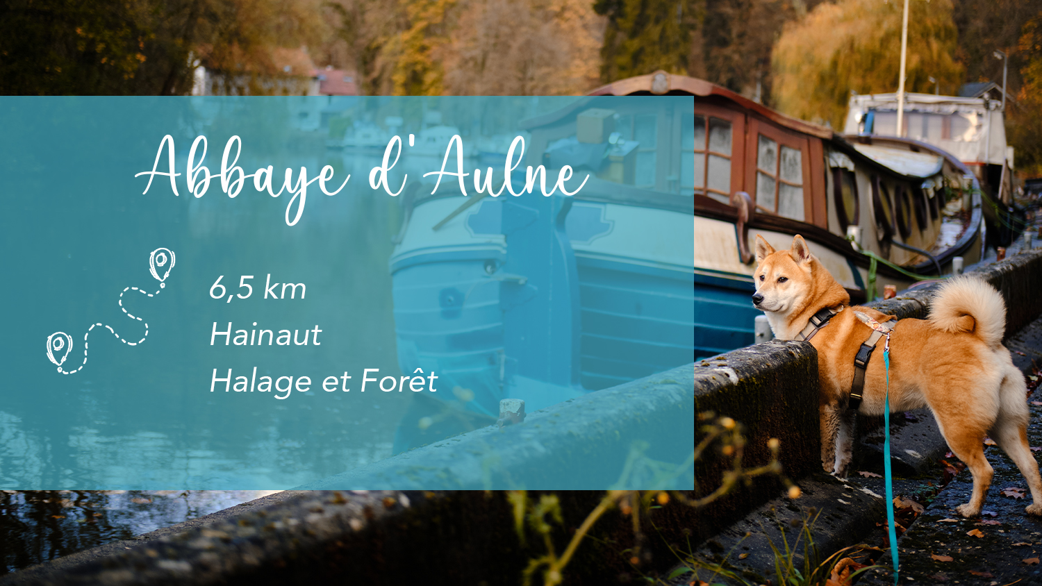 Balade à Landelies : Un Parcours Nature et Patrimoine avec Shira