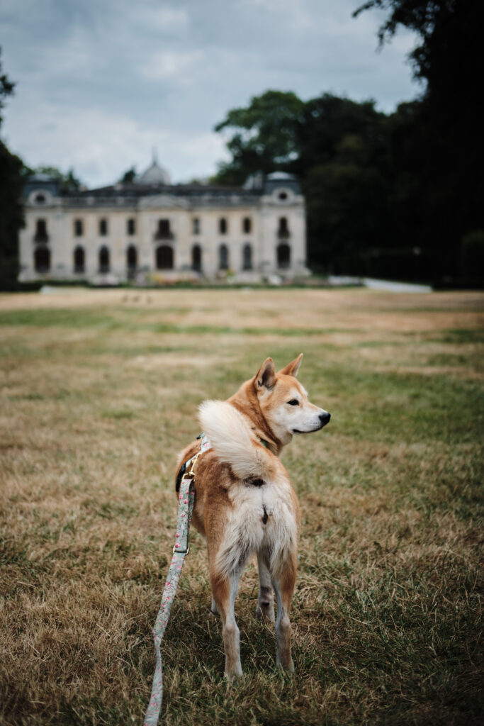 Chateau au parc d'Enghien avec chien
