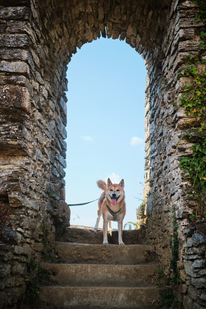 château d’Herbeumont avec ton chien