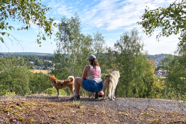 Terrils, Sambre et industrie : la Boucle Noire, une balade canine hors norme à Charleroi
