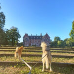Parc de monceau : balade chine Charleroi