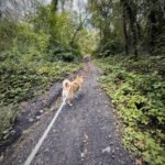 Heribus mons avec son chien