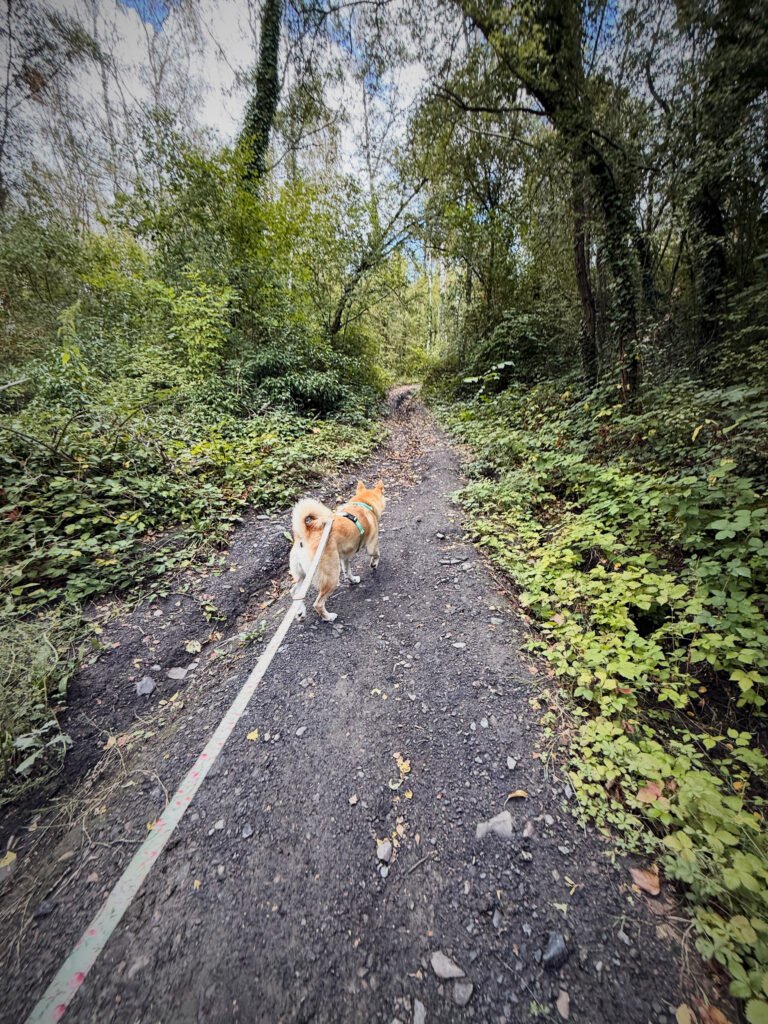 Heribus mons avec son chien