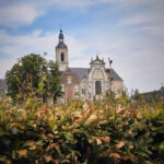 averbode bos en heide balade avec chien