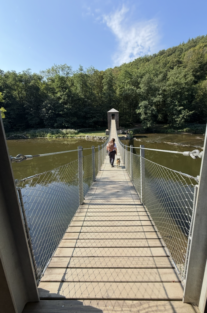 Passerelle de l'épine